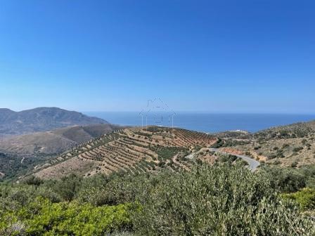Land plot 11.000sqm for sale-Makris Gialos