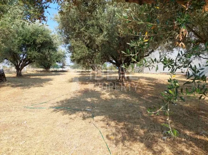 Land plot 802 sqm for sale, Achaia, Messatida