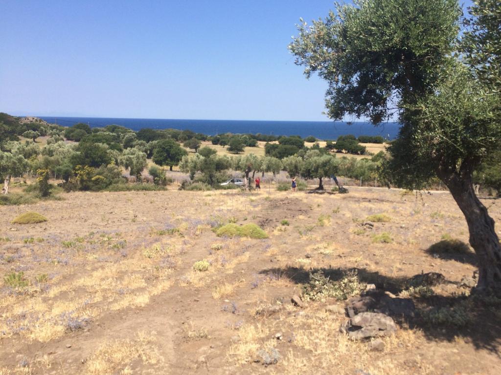 Αγροτεμάχια 9.500 τ.μ. για πώληση, Εβρος, Σαμοθράκη