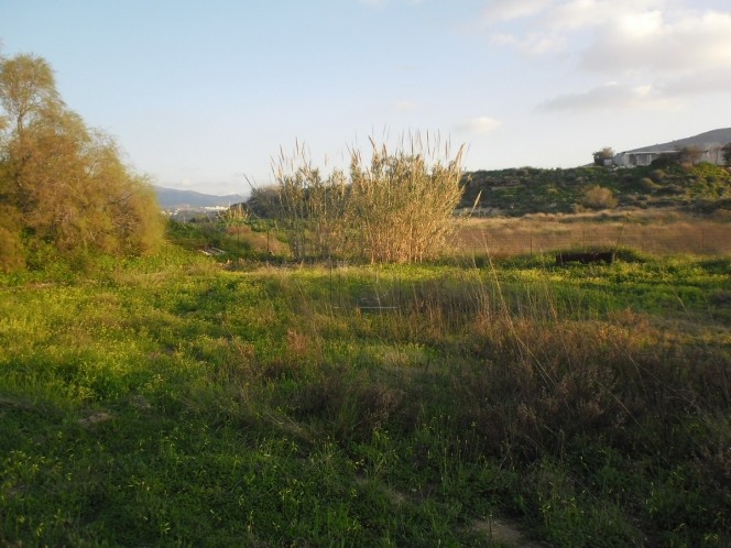 Αγροτεμάχια 1.677 τ.μ. για πώληση