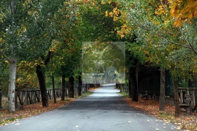 Οικόπεδο 14.754 τ.μ. πρός πώληση, Αρκαδία, Βιτίνα