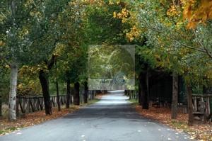 Οικόπεδο 14.754 τ.μ. για πώληση, Αρκαδία, Βιτίνα-thumb-1