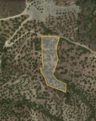 Land plot 5.600sqm for sale-Siteia » Sfaka