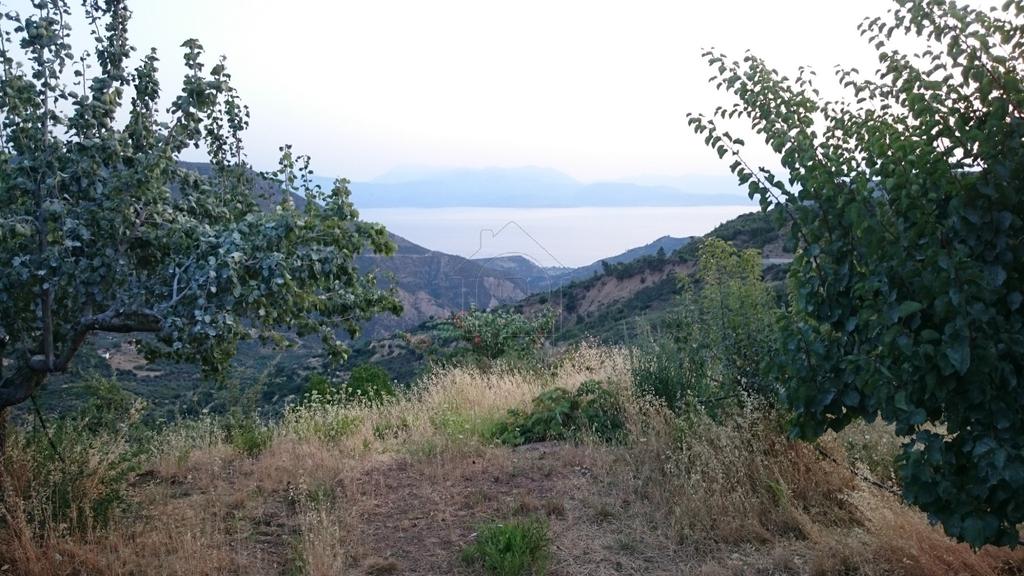 Αγροτεμάχια 20.000 τ.μ. προς πώληση, Παγιαναίικα