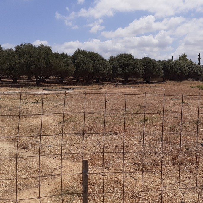 Land plot 1.500 sqm for sale, Heraklion Prefecture, Gouves