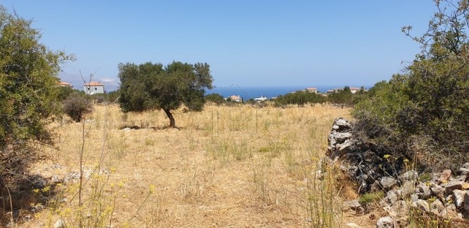 Land plot 4.504 sqm for sale