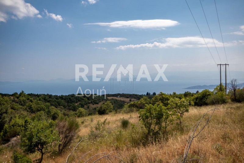 Αγροτεμάχια 6.167τ.μ. για πώληση-Πορταριά » Κατωχώρι