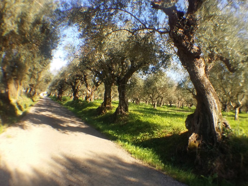 Parcel 11.000 sqm for sale