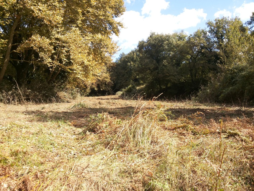 Parcel 4.500 sqm for sale