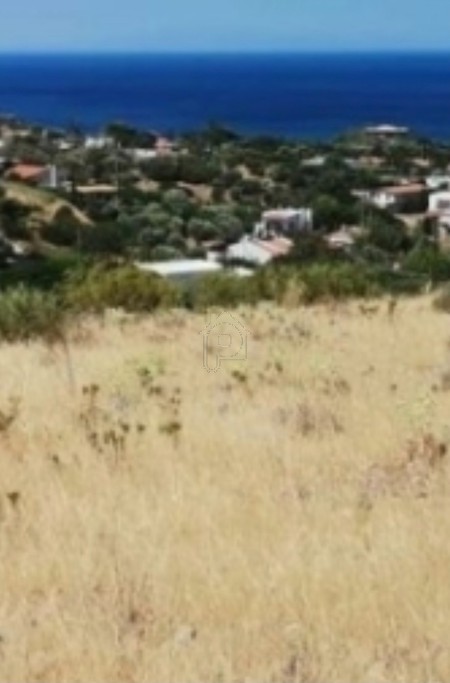 Οικόπεδο 20.000τ.μ. για πώληση-Καλύβια θορικού » Λαγονήσι