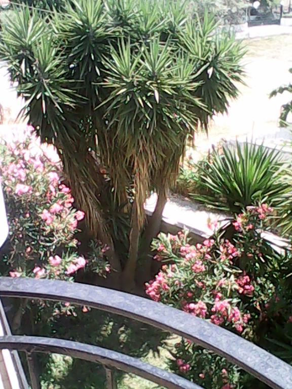 Studio 40 sqm for rent, Aktaio, Rio