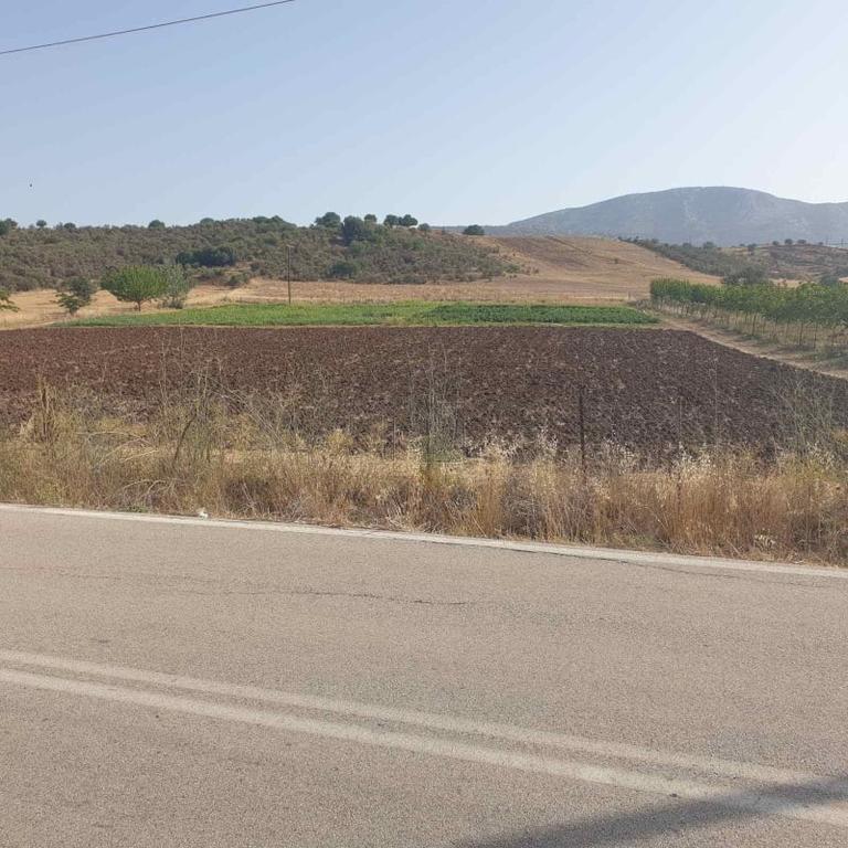 Land plot 10.000 sqm for sale, Argolis, Epidavros