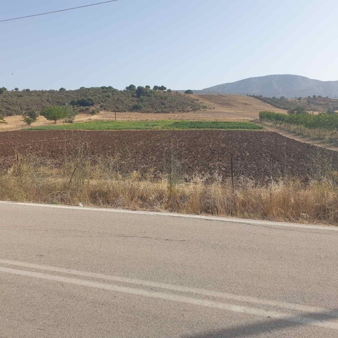 Οικόπεδο 10.000 τ.μ. για πώληση