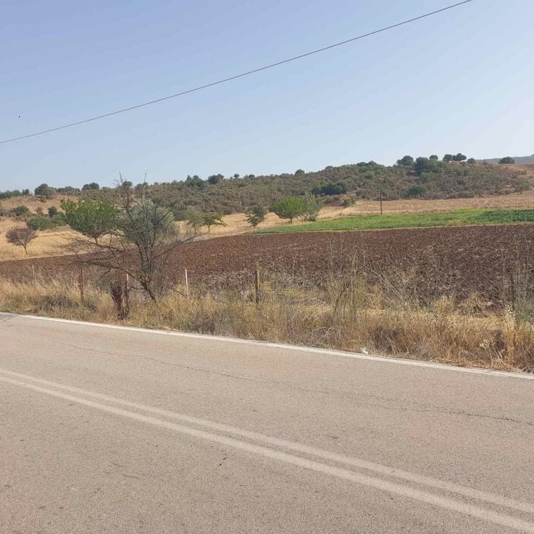 Land plot 10.000 sqm for sale, Argolis, Epidavros