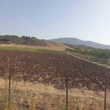 Οικόπεδο 10.000 τ.μ. προς πώληση, Νεοχώρι Επιδαύρου-thumb-3