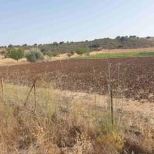 Οικόπεδο 10.000 τ.μ. προς πώληση, Νεοχώρι Επιδαύρου-thumb-5