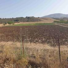 Οικόπεδο 10.000 τ.μ. προς πώληση, Νεοχώρι Επιδαύρου-thumb-6