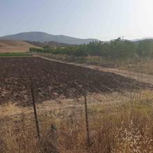 Οικόπεδο 10.000 τ.μ. προς πώληση, Νεοχώρι Επιδαύρου-thumb-7