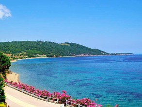 Μονοκατοικία 152τ.μ. για πώληση-Παλλήνη » Παλιούρι