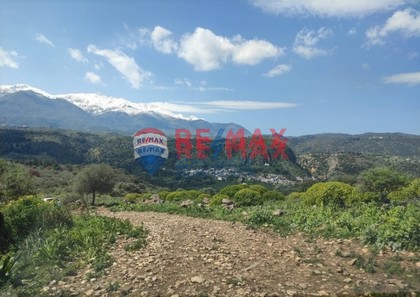 Land plot 4.000sqm for sale-Armenoi » Neo Chorio