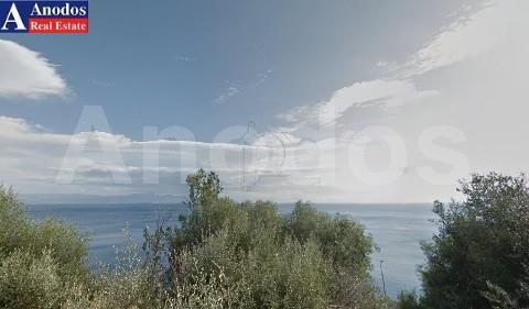 Οικόπεδο 1.800 τ.μ. προς πώληση, Μαυροβούνι Γυθείου