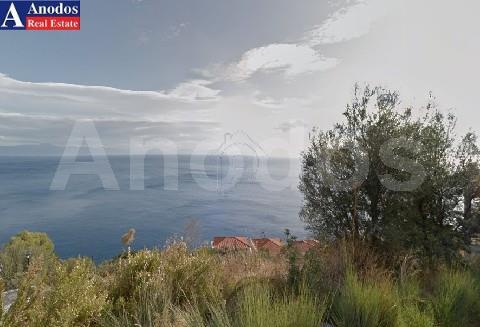 Οικόπεδο 1.800 τ.μ. προς πώληση, Μαυροβούνι Γυθείου