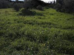 Οικόπεδο 914τ.μ. για πώληση-Κηφισιά » Κέντρο