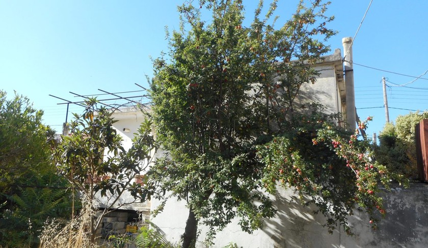 Land plot 576sqm for sale-Chania » Center