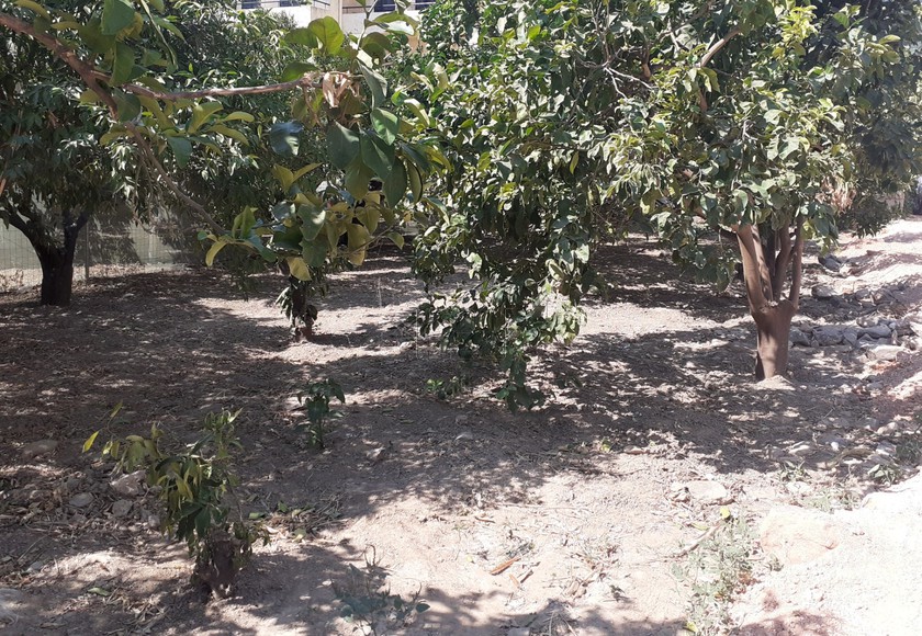 Land plot 320 sqm for sale