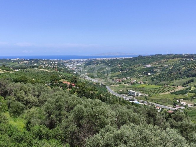 Οικόπεδο 1.481 τ.μ. για πώληση