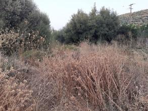 Οικόπεδο 535 τ.μ. για πώληση