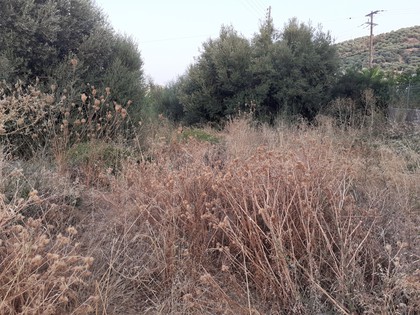 Land plot 535sqm for sale-Gazi » Palaiokastro