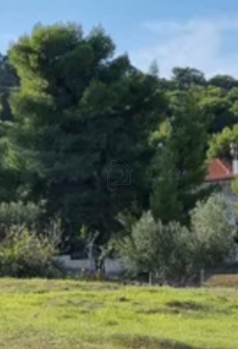 Land plot 800sqm for sale-Koropi » Agia Marina