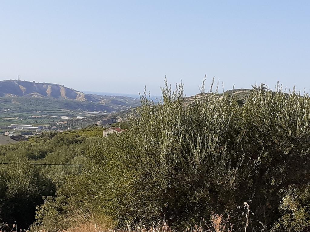 Οικόπεδο 1.564 τ.μ. προς πώληση, Άγιος Σύλλας Τεμένους