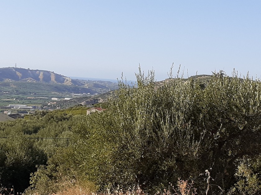 Οικόπεδο 1.564τ.μ. για πώληση-Τέμενος » Άγιος σύλλας