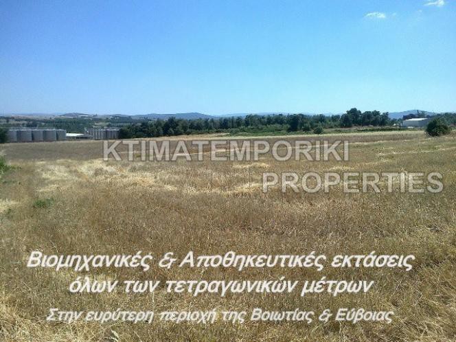 Αγροτεμάχια 6.000 τ.μ. για πώληση