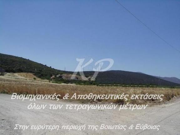 Parcel 10.000 sqm for sale, Evia, Avlida