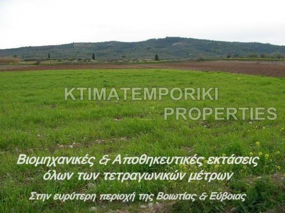 Parcel 10.000 sqm for sale, Evia, Avlida