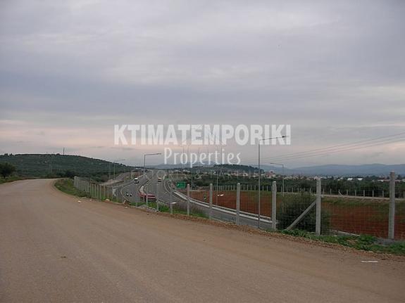 Αγροτεμάχια 15.000 τ.μ. για πώληση, Βοιωτία, Σχηματάρι