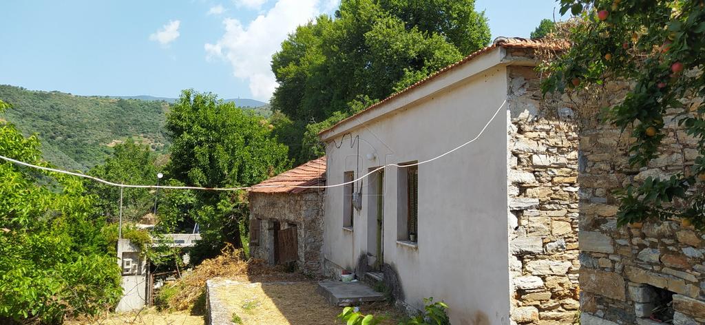 Οικόπεδο 835 τ.μ. πρός πώληση, Μαγνησία, Αρτέμιδα