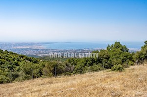 Αγροτεμάχια 7.420τ.μ. για πώληση-Χορτιάτης » Κέντρο
