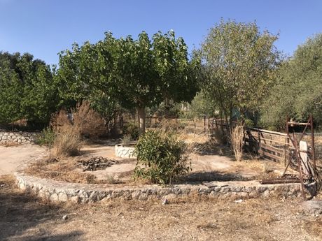 Parcel 3.169sqm for sale-Kefalonia » Leivatho