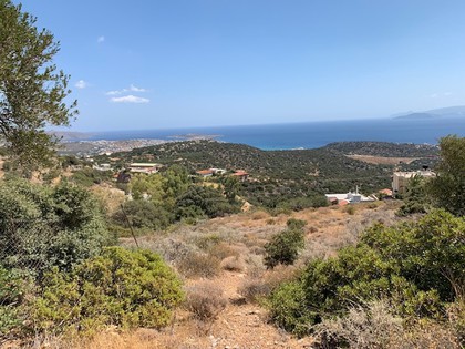 Land plot 2.566sqm for sale-Agios Nikolaos » Mardati