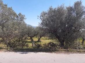 Αγροτεμάχια 3.161 τ.μ. για πώληση, Μεσσηνία, Άριο-thumb-1