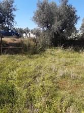 Αγροτεμάχια 3.161 τ.μ. για πώληση, Μεσσηνία, Άριο-thumb-3