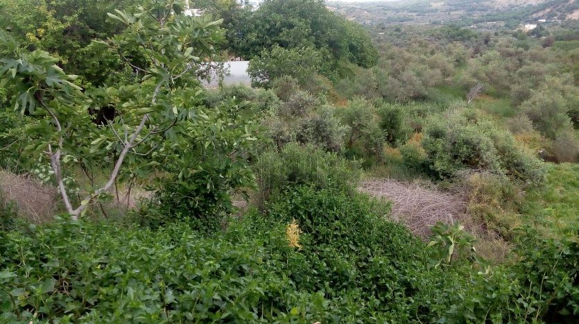 Land plot 553 sqm for sale, Rethymno Prefecture, Rethimno