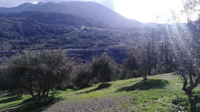 Parcel 14.000sqm for sale-Sivritos » Patsos
