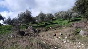 Αγροτεμάχια 14.000 τ.μ. για πώληση, Ν. Ρεθύμνου, Σίβριτος-thumb-1
