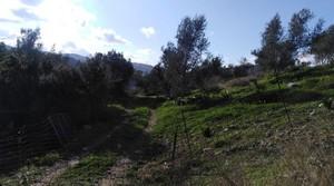 Αγροτεμάχια 14.000 τ.μ. για πώληση, Ν. Ρεθύμνου, Σίβριτος-thumb-2