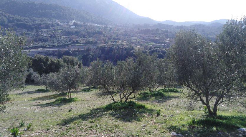 Αγροτεμάχια 14.000 τ.μ. πρός πώληση, Ν. Ρεθύμνου, Σίβριτος